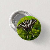 Ein nordamerikanischer Frack-Schmetterling Button (Vorne & Hinten)