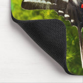 Ein nordamerikanischer Frack-Schmetterling Mousepad (Ecke)