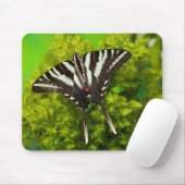 Ein nordamerikanischer Frack-Schmetterling Mousepad (Mit Mouse)
