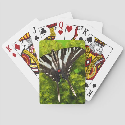Ein nordamerikanischer Frack-Schmetterling Spielkarten (Rückseite)