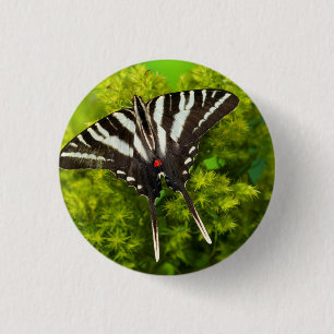 Ein nordamerikanischer Schwalbenschwanz-Schmetterl Button