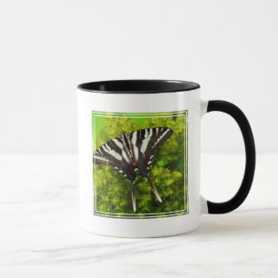 Ein nordamerikanischer Schwalbenschwanz-Schmetterl Tasse