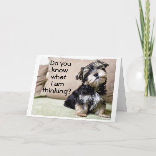 "EIN NUR WEIHNACHTEN FÜR SIE" WICHTIGSTE SACHE! (Vorderseite)