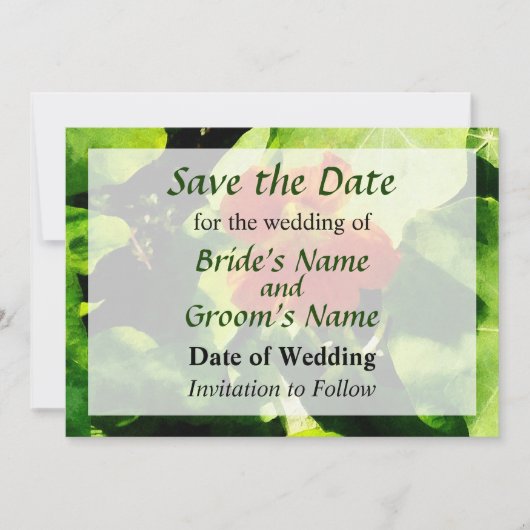 Ein Orange Nasturtium Save the Date (Vorderseite)