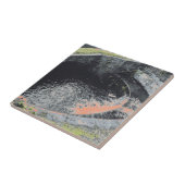 Ein Orange Pool in Welshpool Fliese (Seite)