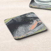 Ein Orange Pool in Welshpool Getränkeuntersetzer (Linke Seite)