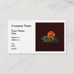 Ein orangefarbenes Marigold mit gelben Tipps Visitenkarte