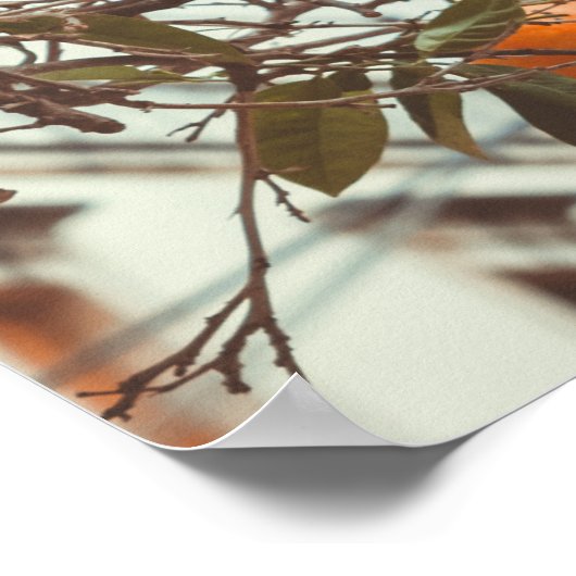 Ein Orangenbaum in einer romantischen Altstadt Poster (Ecke)