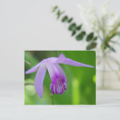 Ein Orchidee für Sie! Postkarte (Stehend Vorderseite)