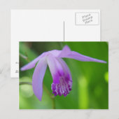 Ein Orchidee für Sie! Postkarte (Vorne/Hinten)