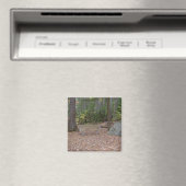 Ein Ort, an dem man den Magneten nachdenkt Magnet (In Situ (Geschirrspüler))