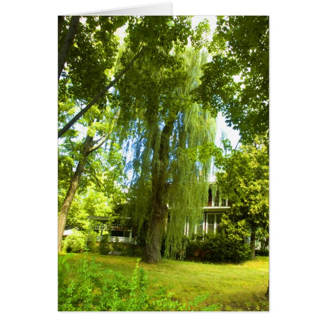 Ein Ort jenseits - das Geheimnis fast aus Sicht (Vorne)