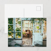 Ein Ort zum Nickerchen Postkarte (Vorne/Hinten)
