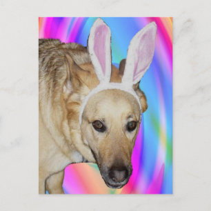 Ein Osterhase? Feiertagspostkarte