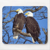Ein Paar Bald-Adler Mousepad (Vorne)