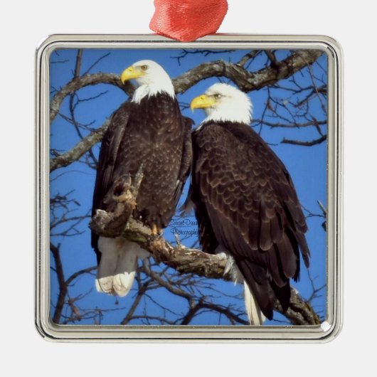 Ein Paar Bald-Adler Ornament Aus Metall (Vorne)