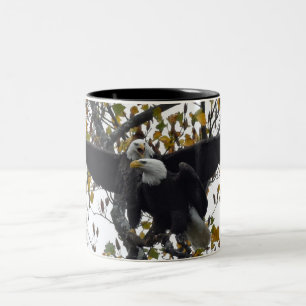 Ein Paar Bald Adler während der Herbstsaison Kaff Zweifarbige Tasse