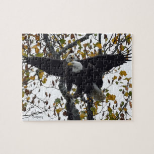 Ein Paar Bald-Adler während der Herbstsaison  Puzzle