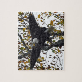 Ein Paar Bald-Adler während der Herbstsaison Puzzle