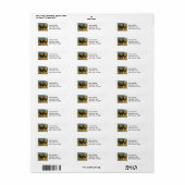 Ein Paar brauner isländischer Ponys (Vorne)