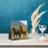 Ein Paar brauner isländischer Ponys Fotoplatte (InSitu)