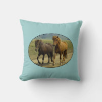 Ein Paar brauner isländischer Ponys
