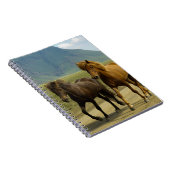 Ein Paar brauner isländischer Ponys Notizblock (Rechte Seite)