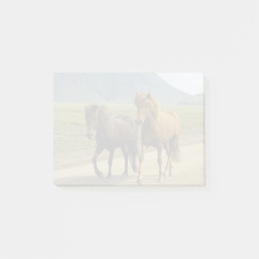 Ein Paar brauner isländischer Ponys Post-it Klebezettel (Vorderseite)