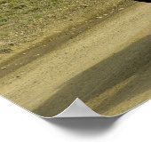 Ein Paar brauner isländischer Ponys Poster (Ecke)