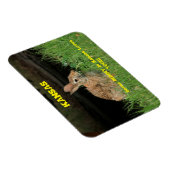 Ein paar Bunny in Kansas Lieben Sie Magnet. Magnet (Rechte Seite)