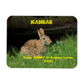 Ein paar Bunny in Kansas Lieben Sie Magnet. Magnet (Horizontal)