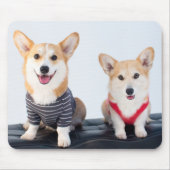 Ein Paar Corgis, die auf einer Bank sitzen Mousepad (Vorne)