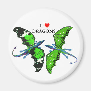 Ein Paar Drachen Magnet