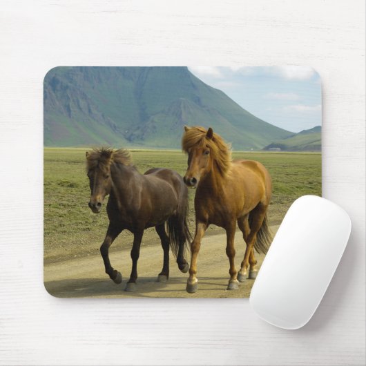 Ein Paar extravaganter brauner isländischer Ponys Mousepad (Mit Mouse)