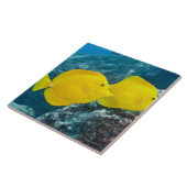 Ein Paar gelbe Gerüche Fliese (Seite)