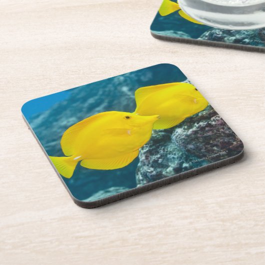 Ein Paar gelbe Gerüche Getränkeuntersetzer (Linke Seite)