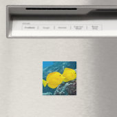 Ein Paar gelber Tangs Magnet (In Situ (Geschirrspüler))