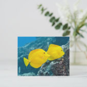 Ein Paar gelber Tangs Postkarte (Stehend Vorderseite)