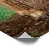 Ein Paar Giraffen auf der Straße, Krüger National Poster (Ecke)