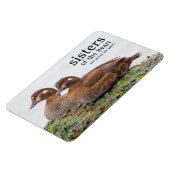 Ein Paar Harlequin-Enten auf den Felsen Magnet (Linke Seite)