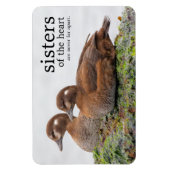 Ein Paar Harlequin-Enten auf den Felsen Magnet (Vertikal)