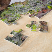 Ein Paar Harlequin-Enten auf den Felsen Puzzle (Seite)