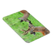 Ein Paar Hirsche Magnet (Rechte Seite)