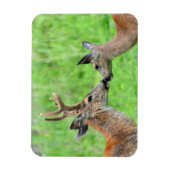 Ein Paar Hirsche Magnet (Vertikal)