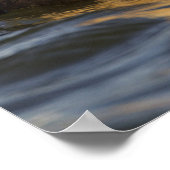 Ein Paar höfliche Königinnen in einem Tundra-Teich Poster (Ecke)