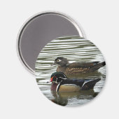 Ein Paar Holzenten Magnet (Vorderseite/Rückseite)