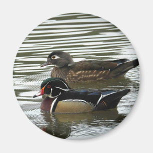 Ein Paar Holzenten Magnet