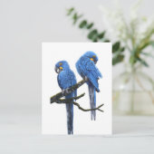 Ein Paar Hyacinth Macaws Postkarte (Stehend Vorderseite)