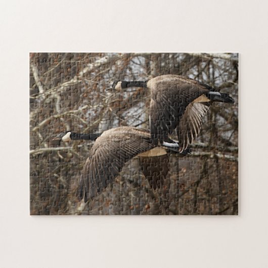 Ein Paar Kanada-Gänse im Flug Puzzle (Horizontal)