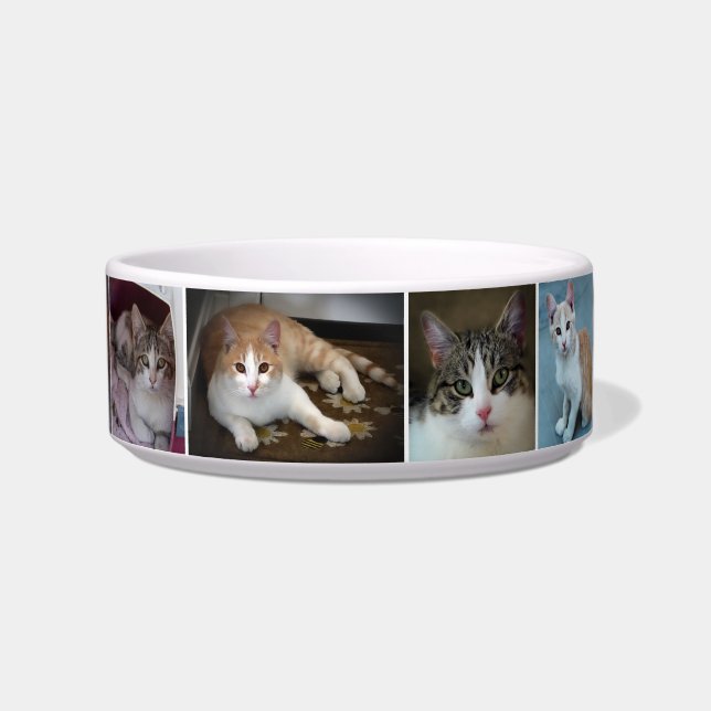 Ein paar Kätzchen Napf (Vorderseite)